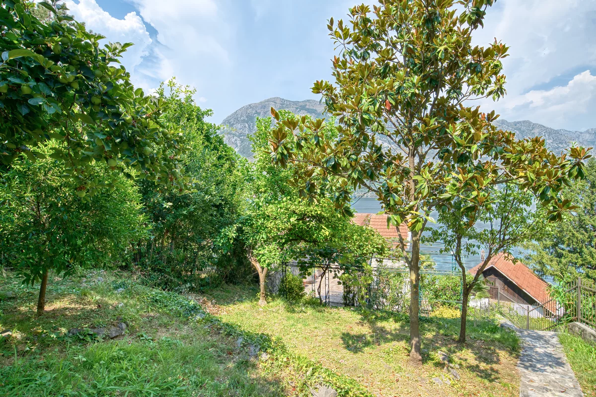 Dus 1336 hdr